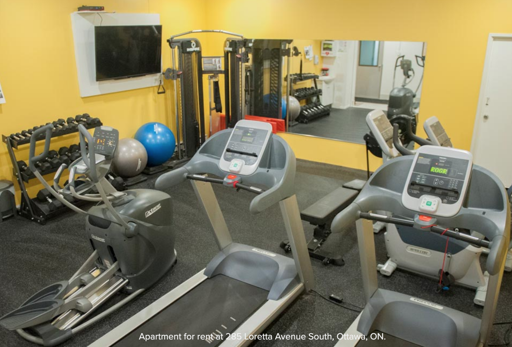 an apartment in Ottawa, ON $1399 🇨🇦