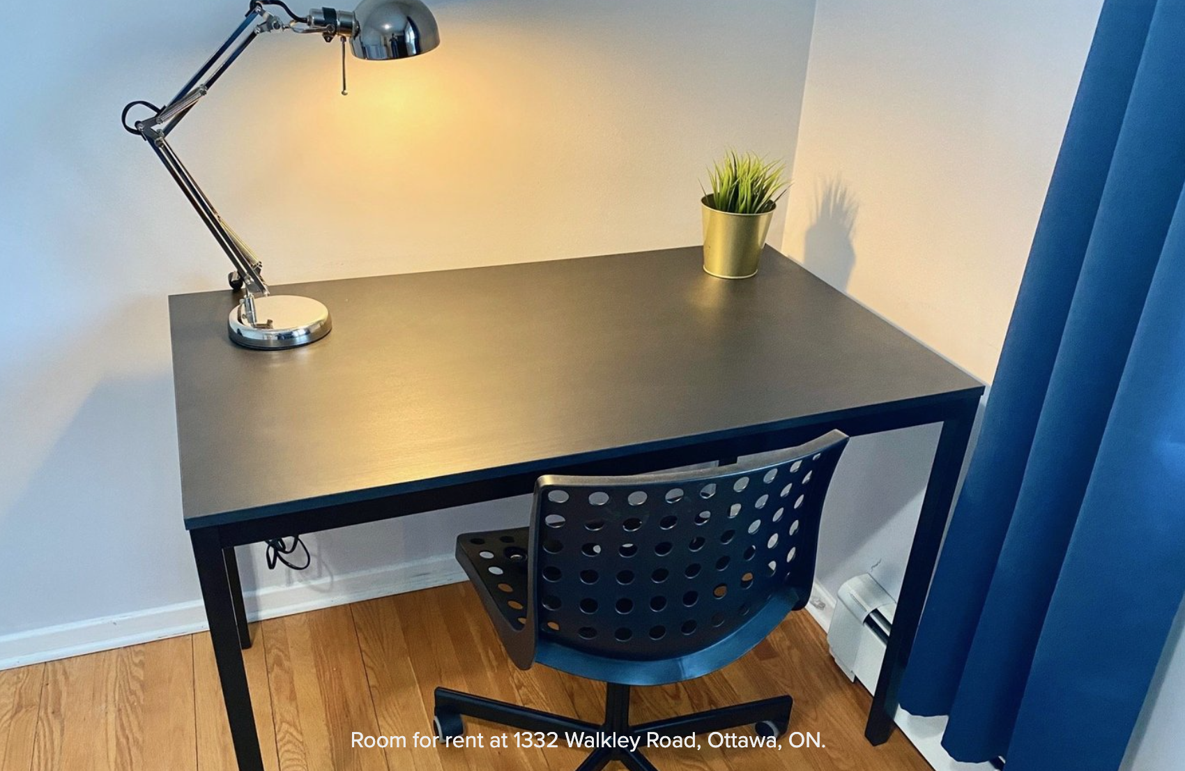 Ottawa 1-Bedroom Looking for 1 person 🇨🇦
